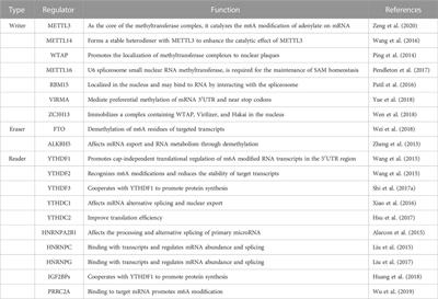 A new perspective on Alzheimer’s disease: m6A modification